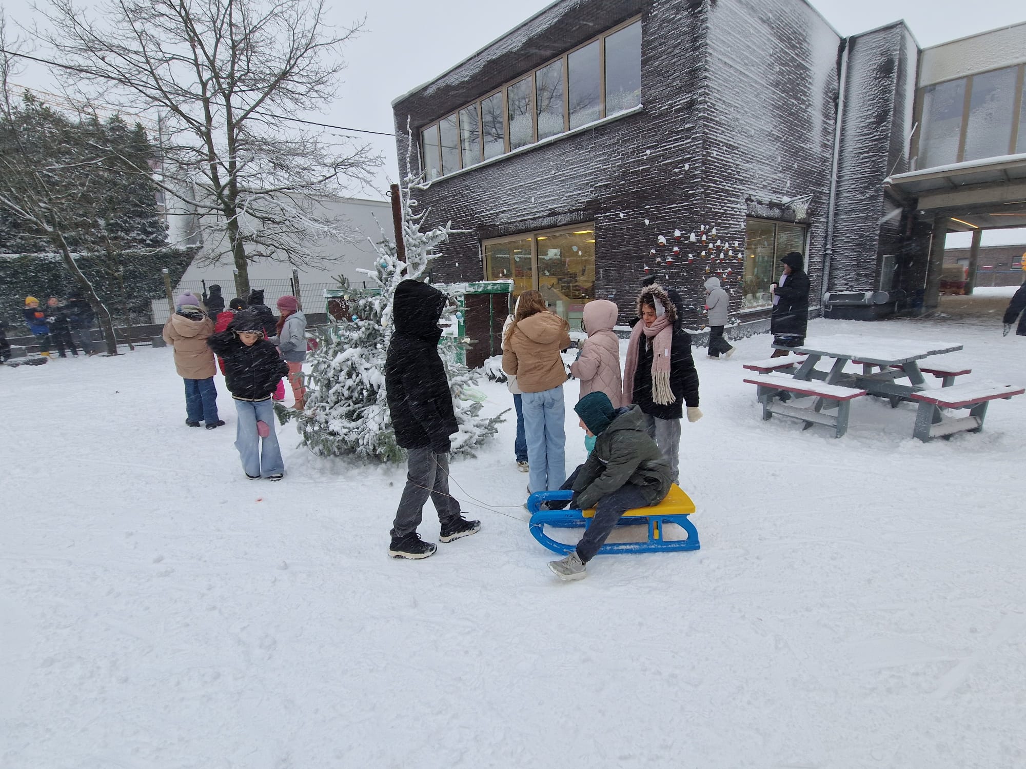 winterfoto 1