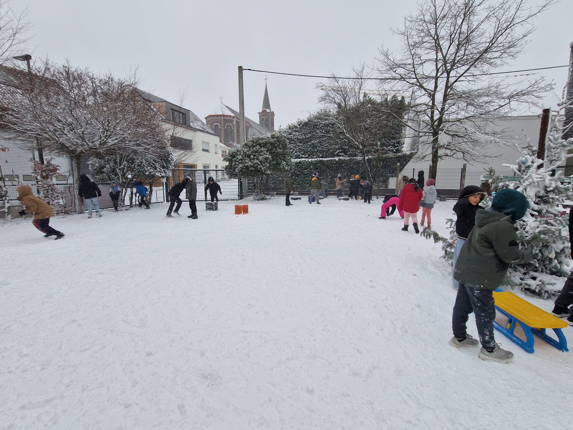 winterfoto 2