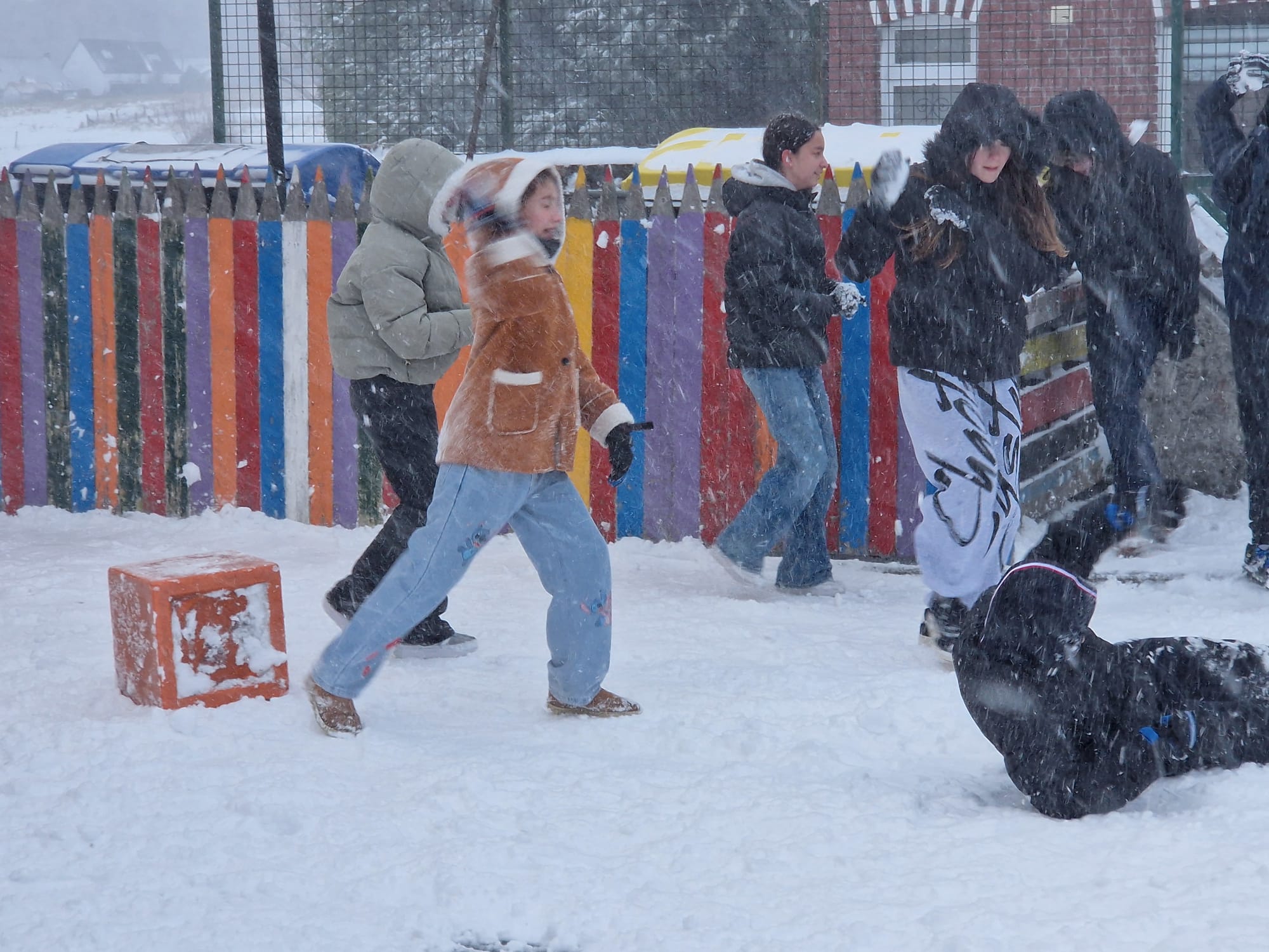 winterfoto 2