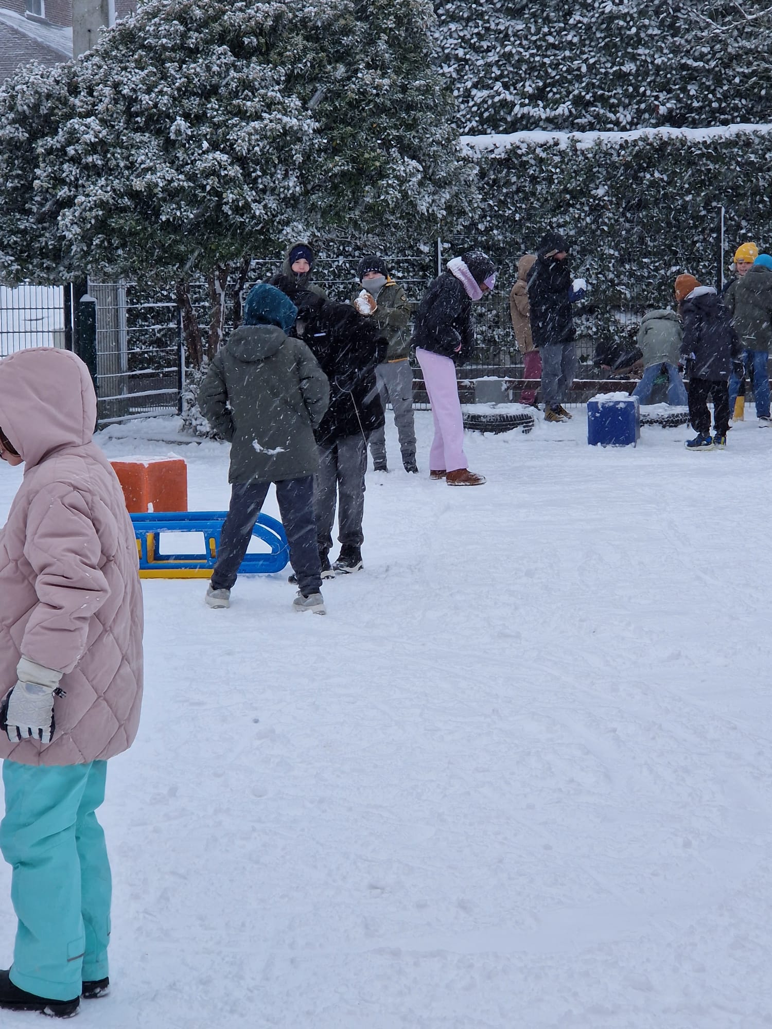 winterfoto 2