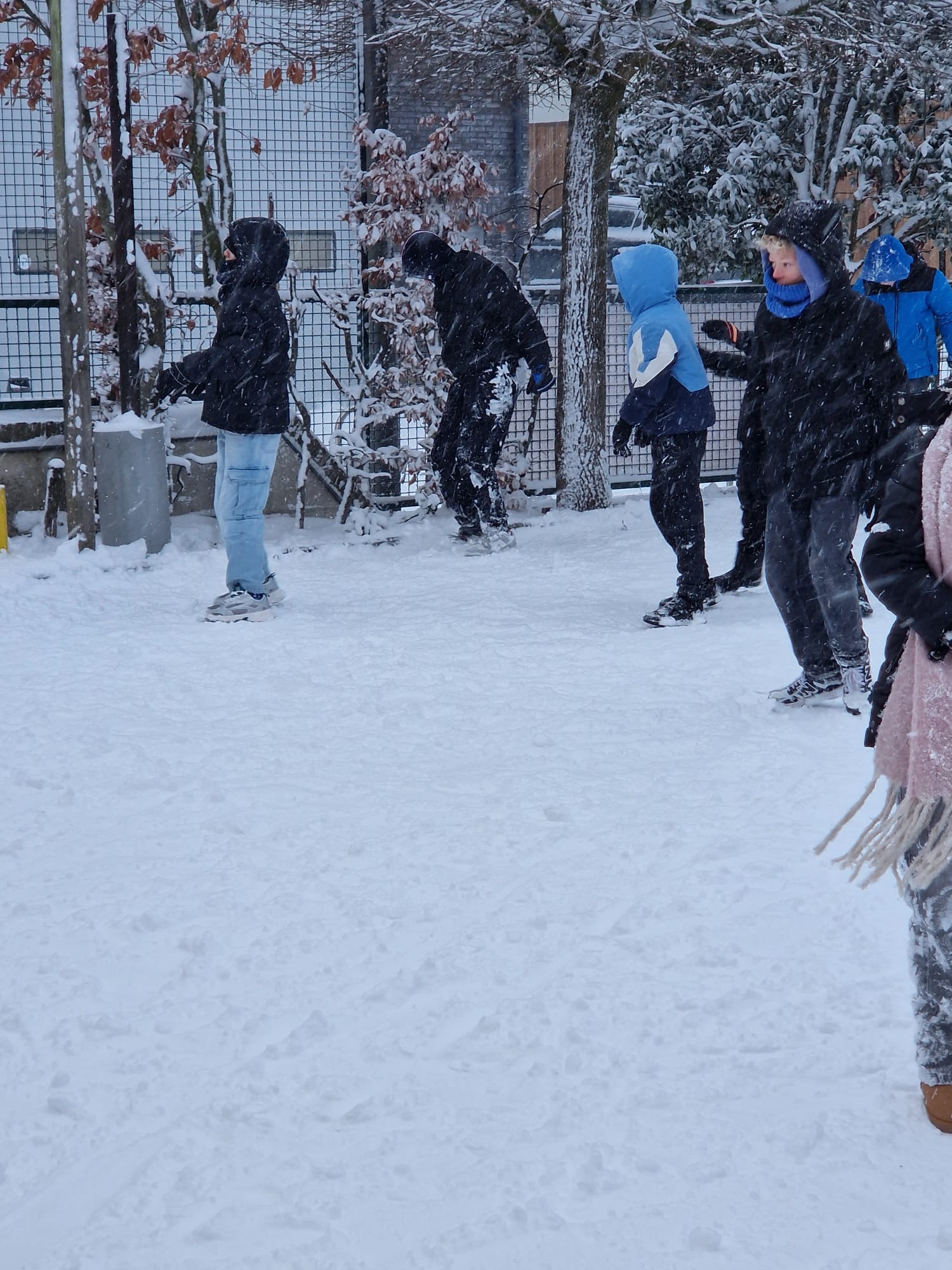 winterfoto 2